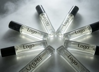 Flacon de parfum en verre de luxe de 10 ml avec emballage en boîte, parfum boisé longue durée pour hommes