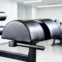 Machine GHD professionnelle multifonction pour l'hyperextension des fessiers et des ischio-jambiers, banc romain pour Crossfit et entraînement de force en salle de sport