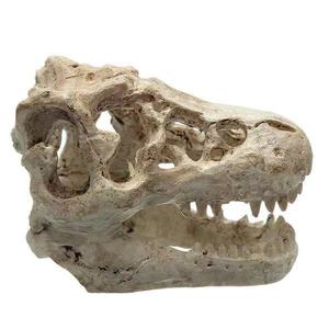 Artificial <strong>Dinosaur</strong> Skeleton Ornament Small <strong>Dinosaur</strong> <strong>Aquarium</strong> <strong>Decor</strong> for Fish Tank <strong>Aquarium</strong> Cave Landscape Pet Reptile