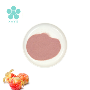 ผงสกัดผลไม้คลาวด์เบอร์รี่ (Rubus Chamaemorus) - Product Image 2