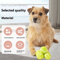 Vente en gros de balles de jeu interactives de 4cm pour animaux de compagnie Jouets à mâcher d'herbe à chat infusés de laine feutre coloré écologique pour chats petits chiens