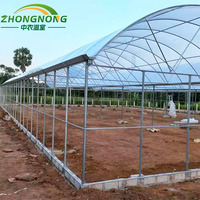 Invernadero Tipo Túnel de Gran Tamaño y Bajo Costo, Personalizable, con Lámina Arqueada de PE para Cultivo Continuo de Frutas y Verduras