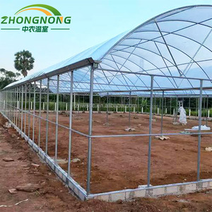 <span class=keywords><strong>Invernadero</strong></span> Tipo Túnel de Gran Tamaño y Bajo Costo, Personalizable, con Lámina Arqueada de PE para Cultivo Continuo de Frutas y Verduras - Product Image 4