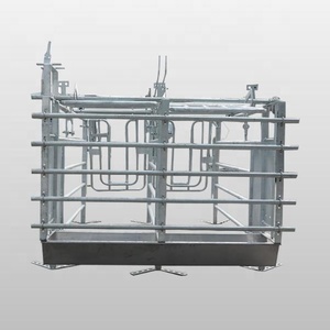 HengYin HY-AFS Jaula de Gestación Nueva al por Mayor con Diseño de Puerta Trasera para Granjas de Cerdos, Material Galvanizado en Caliente, Larga Vida Útil - Product Image 1