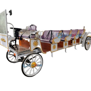 Offre Spéciale – Nouvelle Carrosse de Tourisme Électrique Sans Chevaux à Quatre Rangs de Sièges Violets à Vendre - Product Image 1