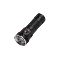 Portable Mini alliage d'aluminium lampe de poche LED Rechargeable EDC porte-clés magnétique Camping lanterne étanche poche taille lanterne