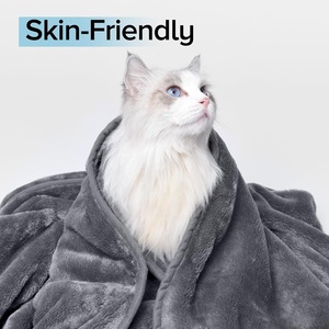 Haustier-Reisekissen & Decken-Set für den Sommer, Flanell, Wendbar, Langlebig, Weich, Gemütlich, Dick, Grau, 450gsm, 67x50, Für Flugzeuggebrauch - Product Image 3