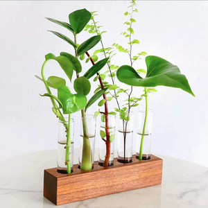 Tube à essai en verre de 18 mm, 20 mm, 22 mm, 25 mm, 30 mm avec bouchon en liège - Product Image 2