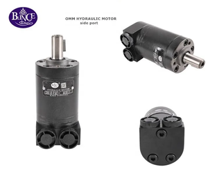 Moteurs à roues hydrauliques compacts BMM OMM40 pour machines de traitement, légers, silencieux et à grande vitesse - Product Image 1
