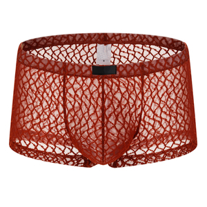 Producción en Fábrica Personalizada ODM OEM para Ropa Interior Masculina Sexy, Bóxers Transparentes de Malla, Calzoncillos para Hombre - Product Image 3