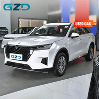 Mobil Bekas China Murah Bensin SUV Bekas 2023 Venucia Star 260T Edisi Otomatis 1.5T FWD 7DCT