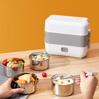 Boîte Bento Chauffante Électrique, Réchauffe-Plat Électrique 3 en 1