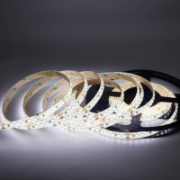 Bande LED Flexible SMD2835 Haute Luminosité 60D/120D/240D 12V/24V 30LM/W Haute Efficacité Ra90 Rouleau de 50m Garantie 3 Ans