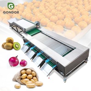 Machine de tri et de calibrage pour pommes de terre, tomates, pommes, ail, avocats, oignons, mangues, oranges et autres légumes et fruits - Product Image 1