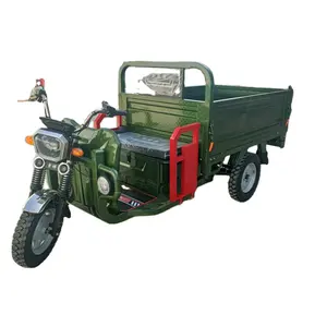 Made in cina triciclo cargo colori elettrici in stock farm cargo triciclo triciclo elettrico in acciaio inox