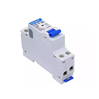 Mini-Disjoncteur NXB-40 1P+N DPN 6A 10A 16A 20A 25A 32A 40A Chint NXB-40 MCB