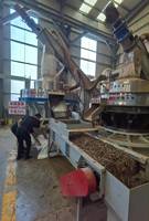 Moteur à aimants permanents de 800 kW avec machine à granulés de bois de 17 tonnes/heure # Machine à granulés 560 # Usine de granulés de bois # Broyeur de bois # broyeur à marteaux