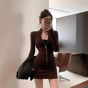 Stand Collar Long Sleeve Dress Brown Zipper Front Tight Waist Casual Daily Wear - Product Image 5