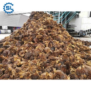 30 T/H FFB a CPO <span class=keywords><strong>de</strong></span> palma <span class=keywords><strong>de</strong></span> <span class=keywords><strong>aceite</strong></span> <span class=keywords><strong>de</strong></span> planta <span class=keywords><strong>de</strong></span> procesamiento <span class=keywords><strong>de</strong></span> <span class=keywords><strong>aceite</strong></span> <span class=keywords><strong>de</strong></span> palma, el <span class=keywords><strong>precio</strong></span> <span class=keywords><strong>de</strong></span> la máquina - Product Image 6