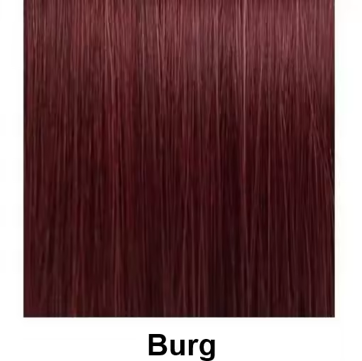 Burg