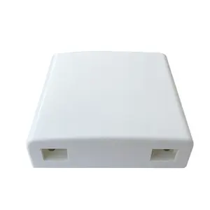 Caja de terminación de salida de pared óptica, Panel de placa frontal Mini FTTH de 2 puertos, caja de terminales de fibra óptica, tipo 86
