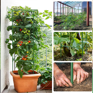 Assembler des pieux de support grimpants simples pour plantes de tomates, des <span class=keywords><strong>cages</strong></span> à tomates et des pieux - Product Image 5