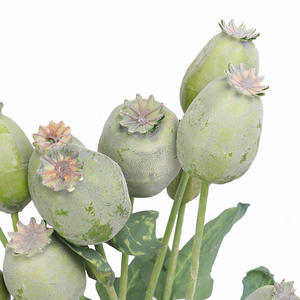 شابي الشيك ديكور للمنزل فناجين الشامي ديكور كبسولات الشامي للحانة المنزل ديكور حديقة بذور بابافر تبدو مثل الحقيقية - Product Image 5