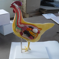 Modelo de Anatomía Realista de Pollo, Modelo de Órganos Víscerales para Investigación, Modelo de Biología Desmontable para Demostración de Enseñanza Animal, CE/ISO