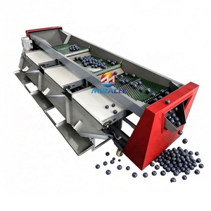 Clasificador de Tamaño de Arándanos Industrial, Máquina Clasificadora de Frutas para Clasificación de Tamaño de Arándanos - Product Image 3