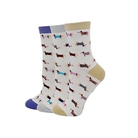 BQ-A 382 pas cher teckel chaussettes