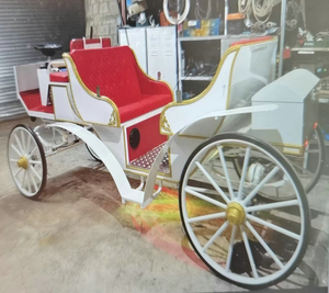 Carrozza Vittoriana Reale per Matrimoni ed Eventi Speciali - Carrozza Pieghevole a Tettuccio, Trainata da Cavalli ed Elettrica - Product Image 5