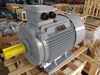 Motor Listrik AC Seri YE2 30KW 37KW 3 Fasa Motor Induksi Asinkron 50Hz 60Hz Kelas F Efisiensi IE2 Penggerak Industri