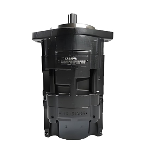 ปั๊มน้ำมัน CASAPPA Kespa รุ่น MVPD/R30.28D/S-04S5-LMD/MB-N MVP48.45 60.60/72 - Product Image 3