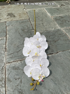 Orchidées artificielles Phalaenopsis blanches et roses, couleur chair, à tige unique, toucher réel, pour décoration de mariage, vente en gros - Product Image 3
