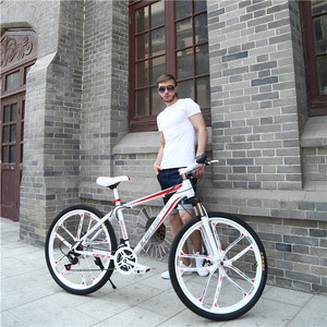 L'importateur hachoir pièces <span class=keywords><strong>de</strong></span> rechange pour adultes route vtt pliable pour enfant 26 pouces enfant <span class=keywords><strong>chaine</strong></span> hybride plié remorque vélo - Product Image 2