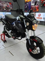 Motocyclette à essence d'occasion Benelli Small Monster T-Rex 150cc d'origine avec une vitesse maximale de plus de 120 km/h
