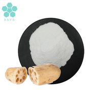 Poudre de racine de lotus séchée certifiée Halal 10:1 20:1, extrait de racine de lotus en poudre