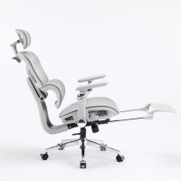 Fauteuil de Bureau Exécutif Moderne et Ergonomique avec Accoudoirs Confortables, Soutien Lombaire et Dossier en Maille Réglable et Pivotant