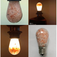 Ampoule LED avec sel rose de l'Himalaya pour le salon et le bureau-Lampe au sel naturel avec lueur ambrée chaude