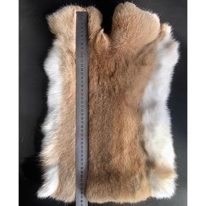 Piel de Conejo <span class=keywords><strong>100%</strong></span> Auténtica, Piel de Conejo en Venta - Product Image 2