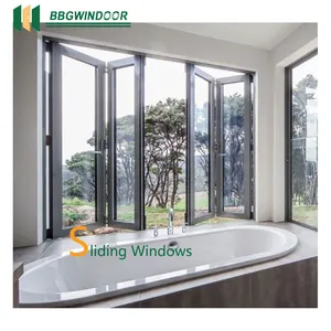 Lukliving NFRC Certificate Vertical Aluminum Sliding Window Exterior Double Glazed Thermal Break Window