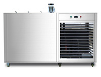 Ligne de production de machine de brique de glace transparente commerciale de 2 tonnes en acier inoxydable durable noix de lait de fruits à prix économique
