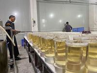 Machine semi-automatique de distribution de cire pour bougies en gel avec fonction de fusion par enveloppement et verseur manuel, pour la fusion et le remplissage de bougies en paraffine et en soja