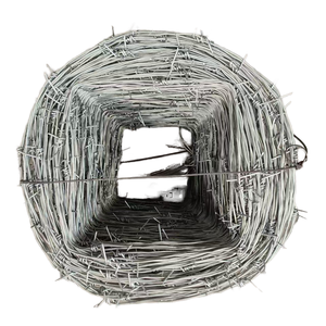 Kualitas tinggi harga yang kompetitif penjualan terbaik produsen kawat besi galvanis untuk konstruksi dan perlindungan jenis melingkar - Product Image 2