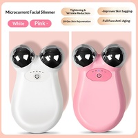 Appareil de beauté à micro-courant double tête Magic Ball pour la réduction des rides, le raffermissement et le rajeunissement de la peau, outil de lifting et d'amincissement du visage