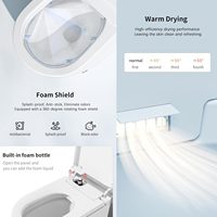 WC intelligent haut de gamme avec bidet intégré, eau chaude, séchage à l'air, acier inoxydable, entièrement automatique, éclairage d'ambiance pour