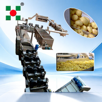 Volledig automatische productielijn voor frieten, complete machine voor het maken van aardappelchips, complete lijn voor de verwerking van aardappelchips