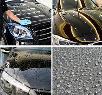 Multifunción 9H Nano Revestimiento cerámico Hidrofóbico Impermeable Vidrio Producto para el cuidado del automóvil con protección Premium