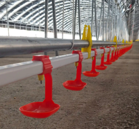 Kit complet de ligne d'abreuvement pour volailles avec tuyau carré, système d'abreuvement par pipettes pour poules pondeuses