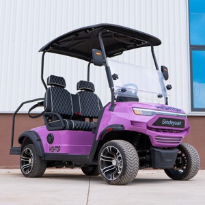 Voiturette de golf électrique 2 places longue portée 80 km, batterie 60V 100Ah, charge en 7-8 heures pour usage quotidien, service OEM ODM personnalisé - Product Image 2